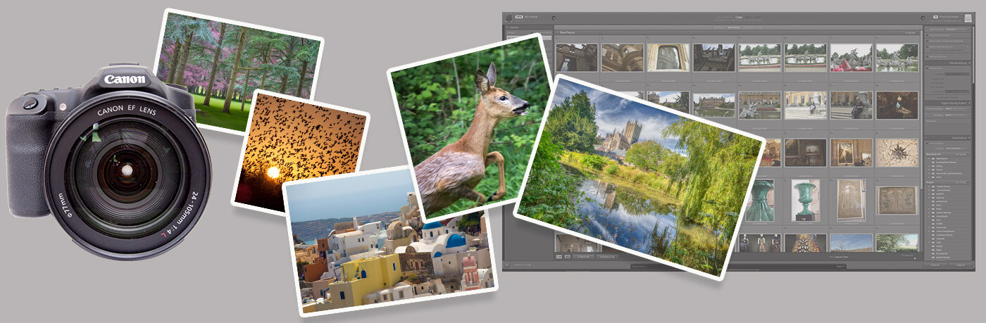 Quick Steps for Importing Photos Into Lightroom